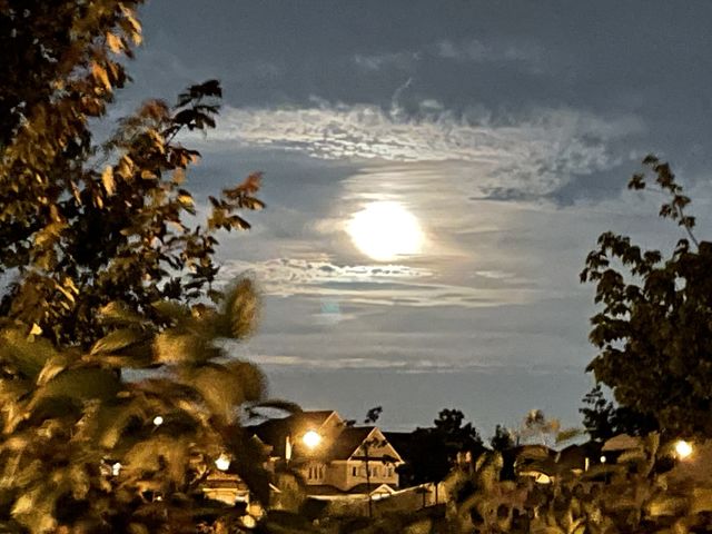 Moonlight 