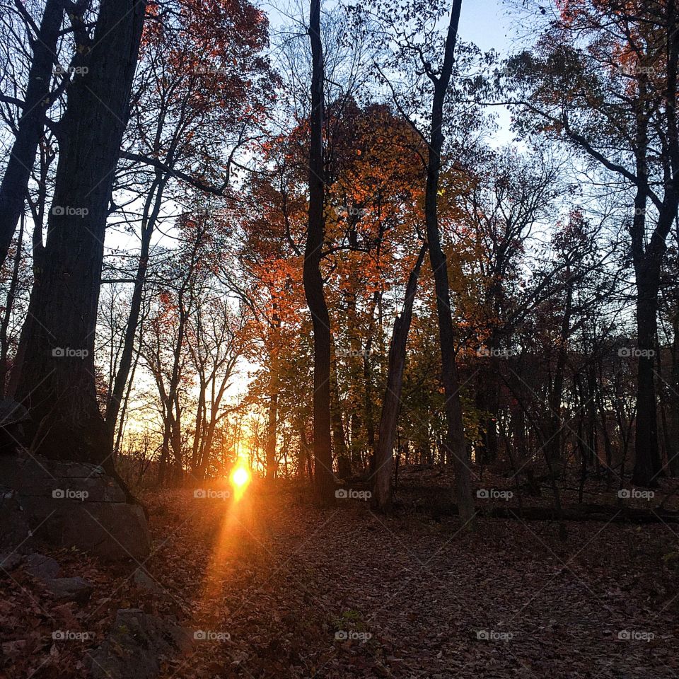 Leonard Cohen: "There is a crack in everything is how the light gets in" Great run this AM. 