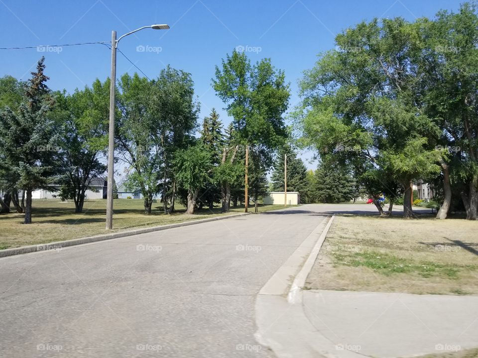 Road, Tree, Guidance, Landscape, No Person
