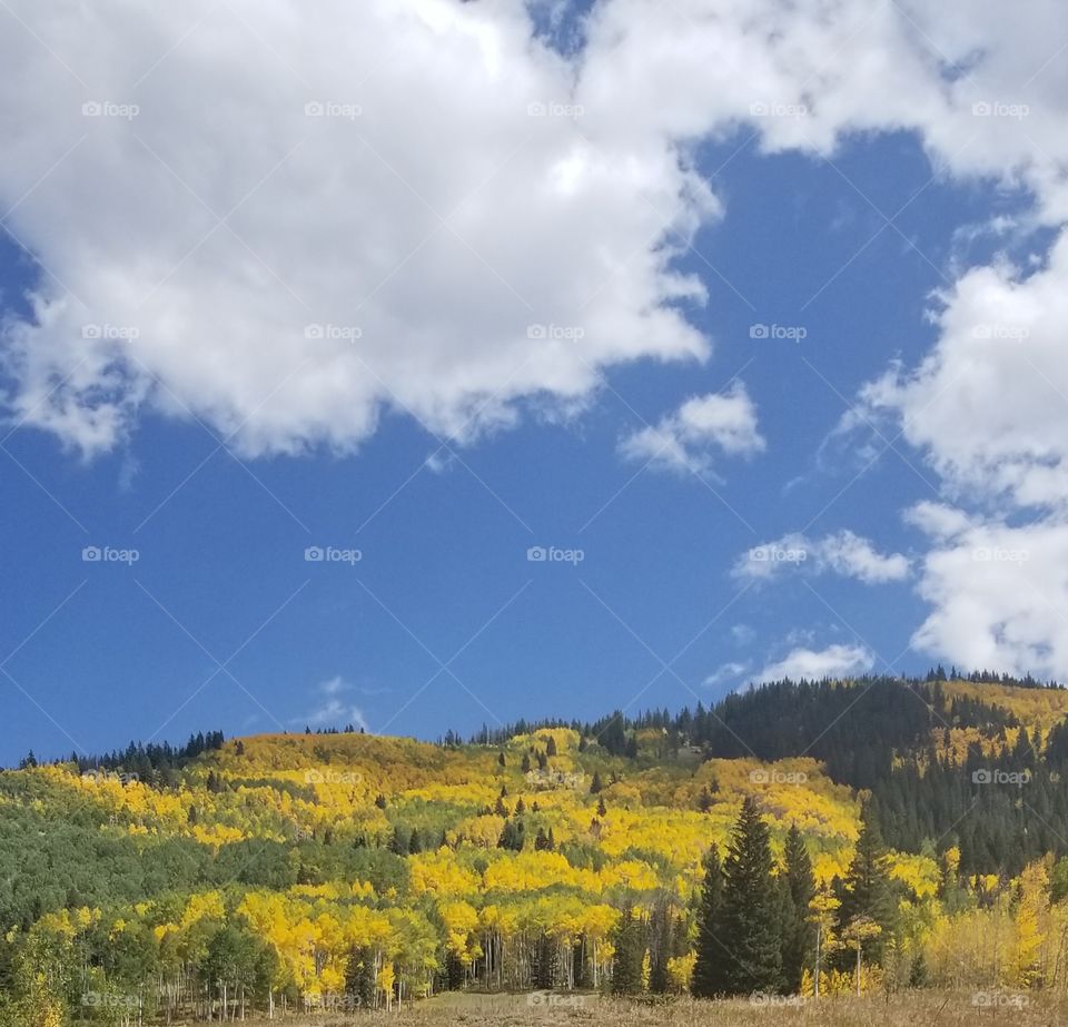 Colorado changing for Fall