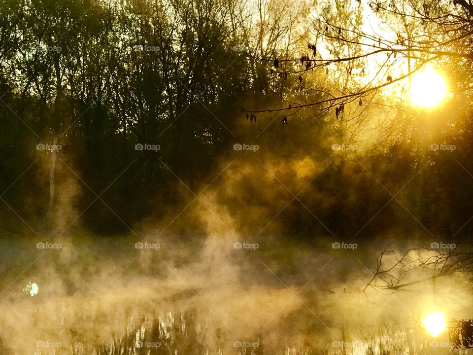 '16, 2016, fog, rising fog, numbers, water, lake, light, mist, sun, trees, woods, shore 