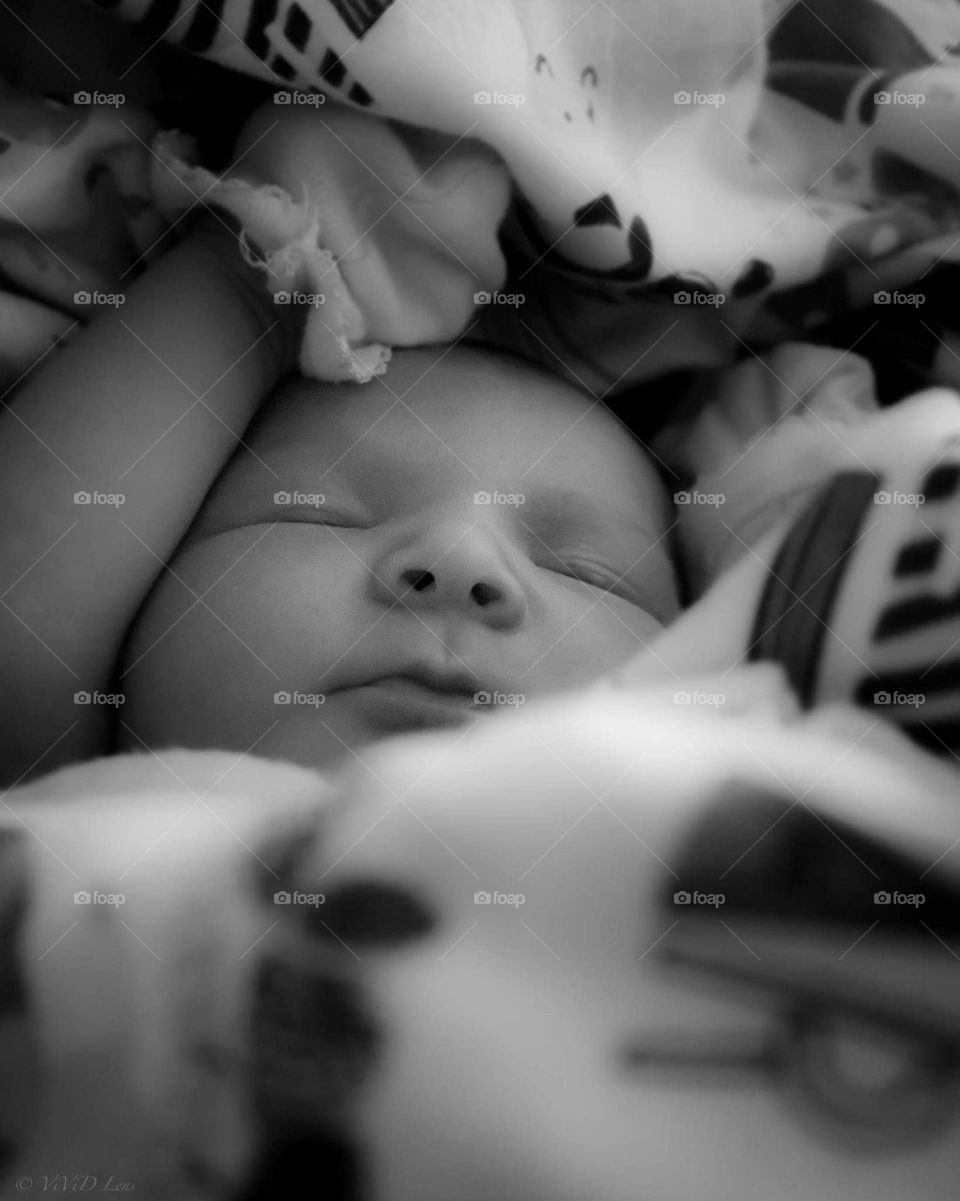 Portrait of a small sleeping