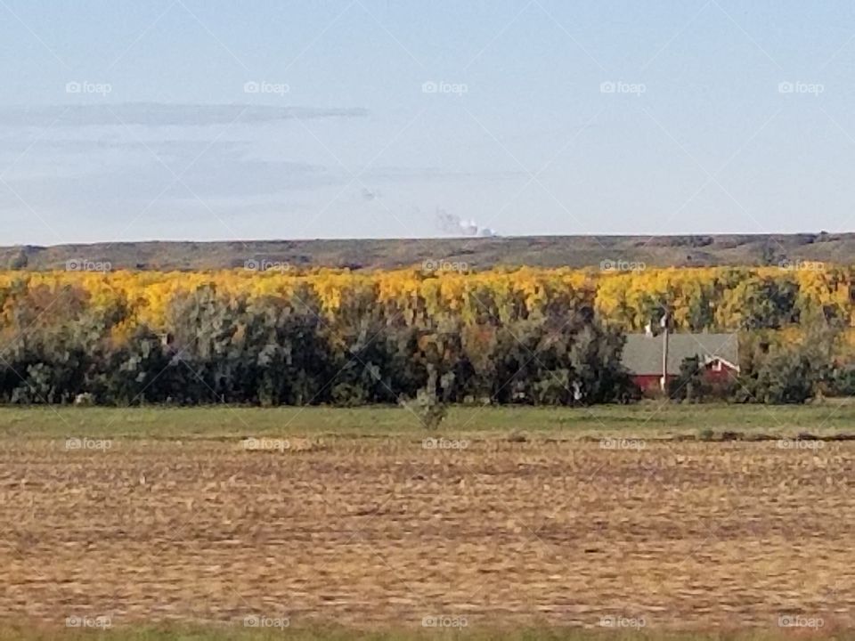 Fall, Landscape, Tree, Nature, Field