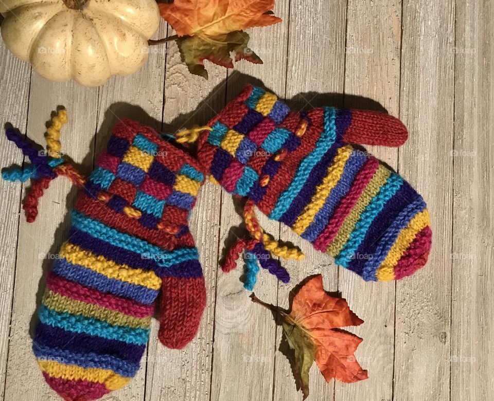 Kittens Love Their Mittens 