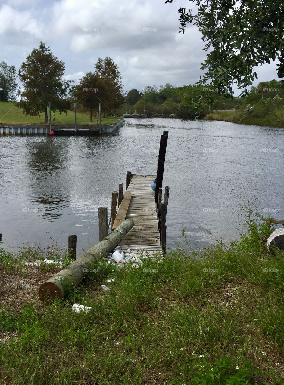 Dock in the bayou
