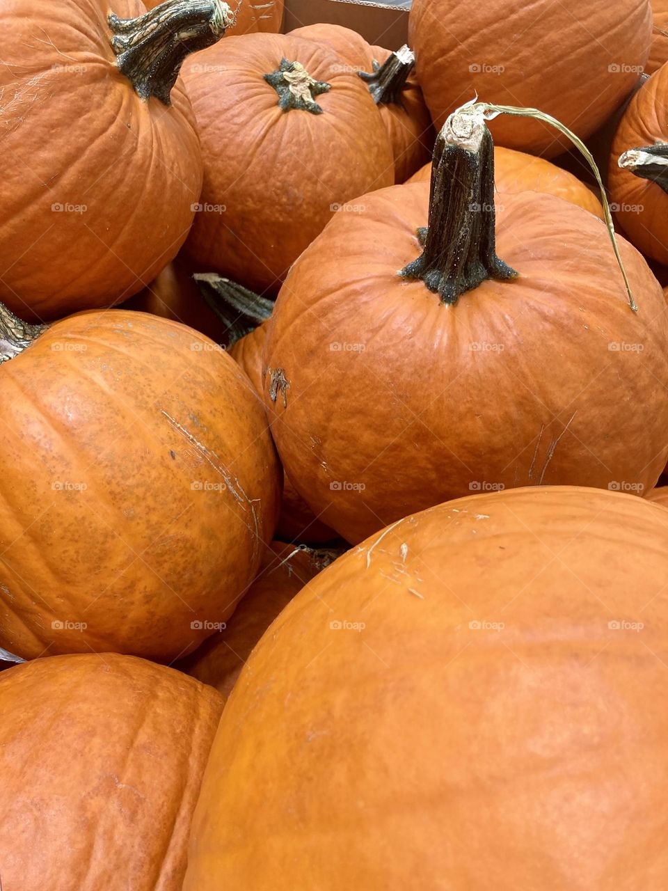 Getting ready for Halloween photography mission 