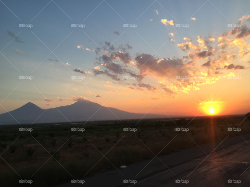 Ararat