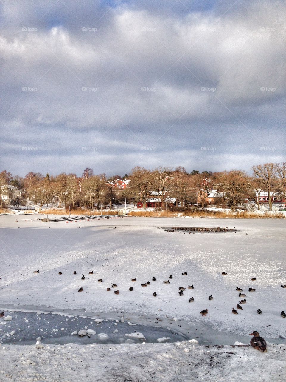 winter lake sweden