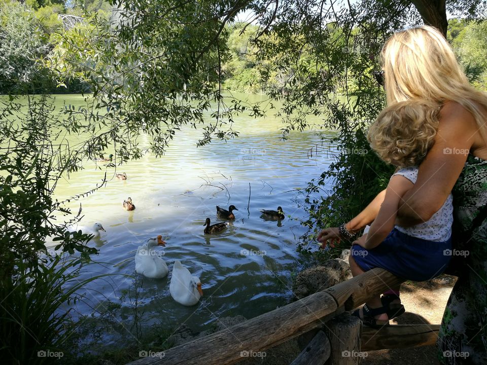 Mom, child, swans and ducks.
