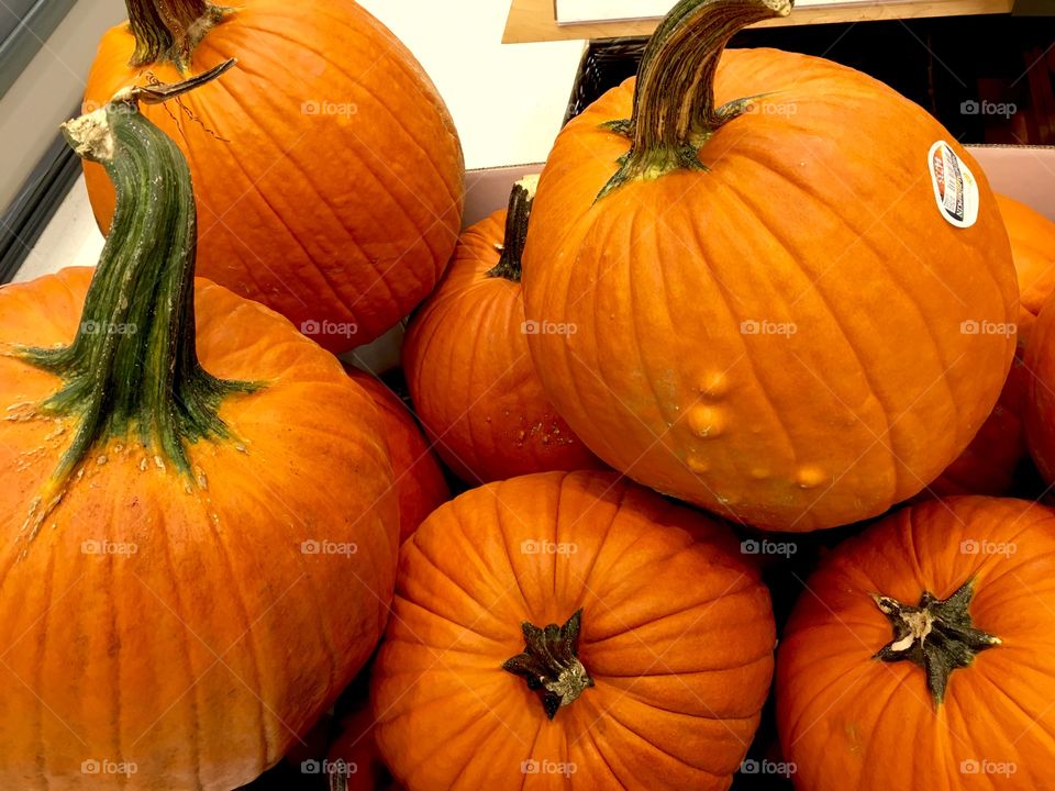 Crate of pumpkins