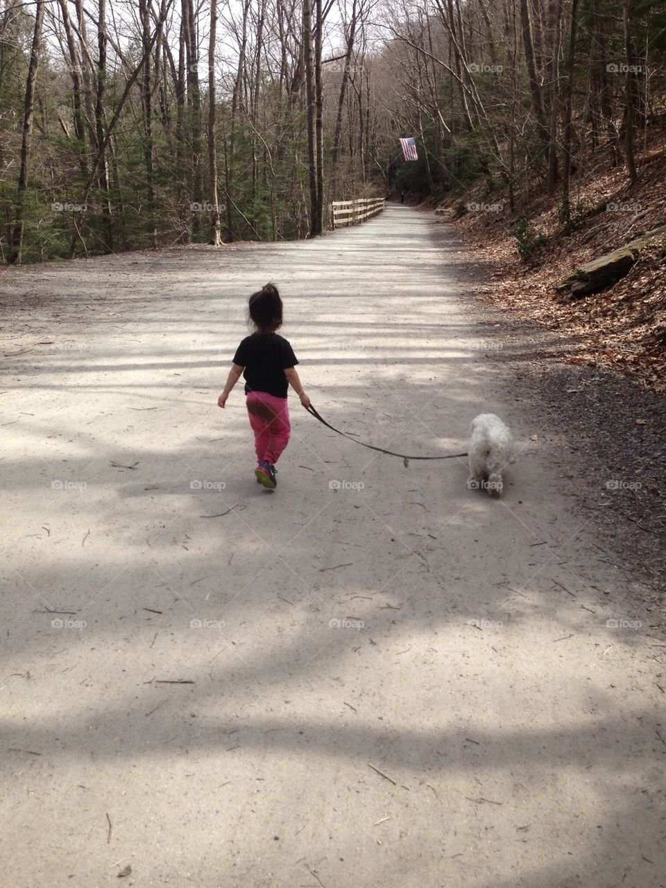 Bella walking Cody... Or is the dog walking her?!?