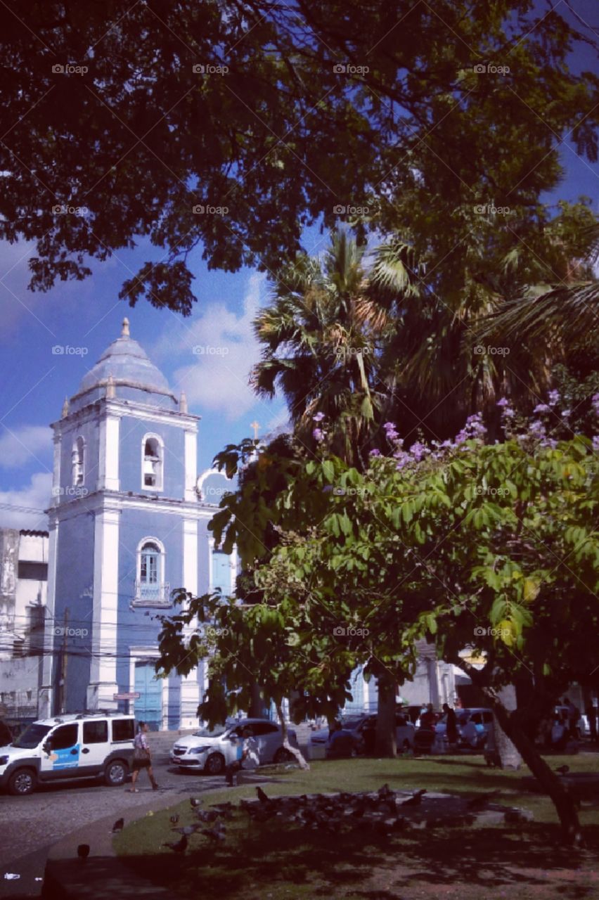Arquitetura, história, igreja, praça, árvores, flores, pessoas, pombos, Largo da Paz, bairro de Afogados, Recife, Pernambuco, Brasil.