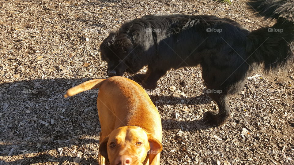 just wanted to say hello