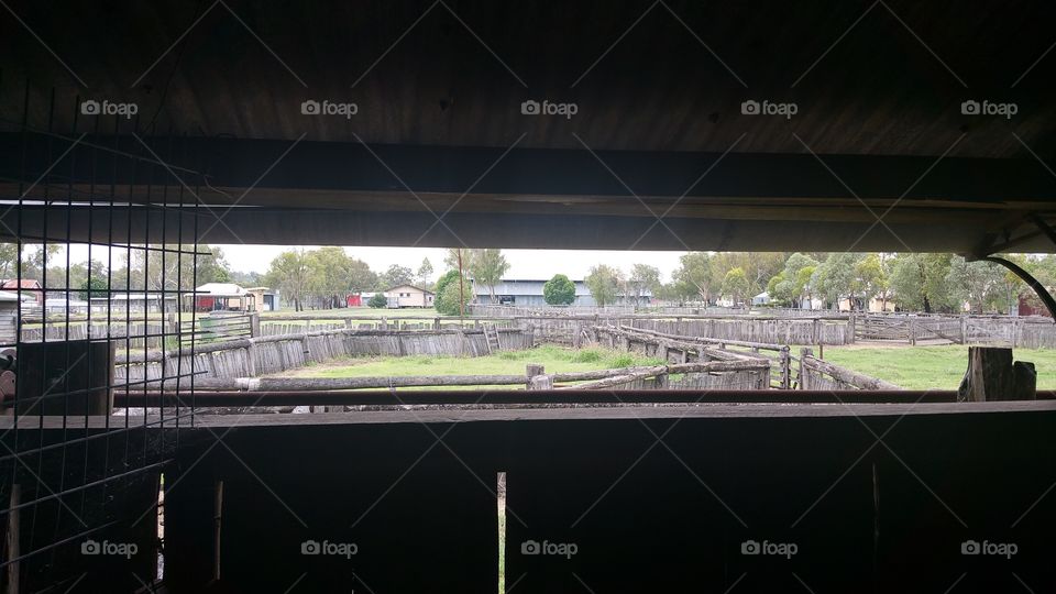 old sheep shed/ yards