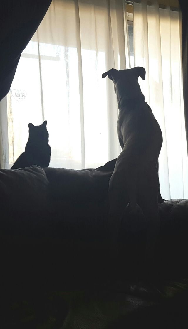 Hang'n with my brother