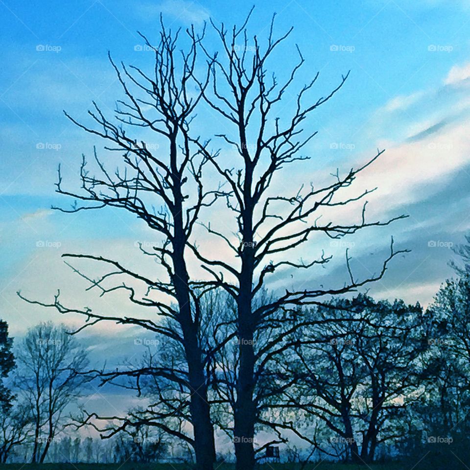 Identity And  purpose ...