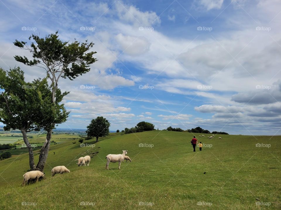 Countryside