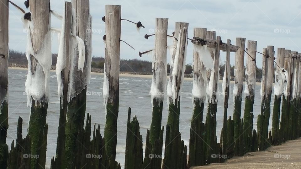 old pilings on the bay
