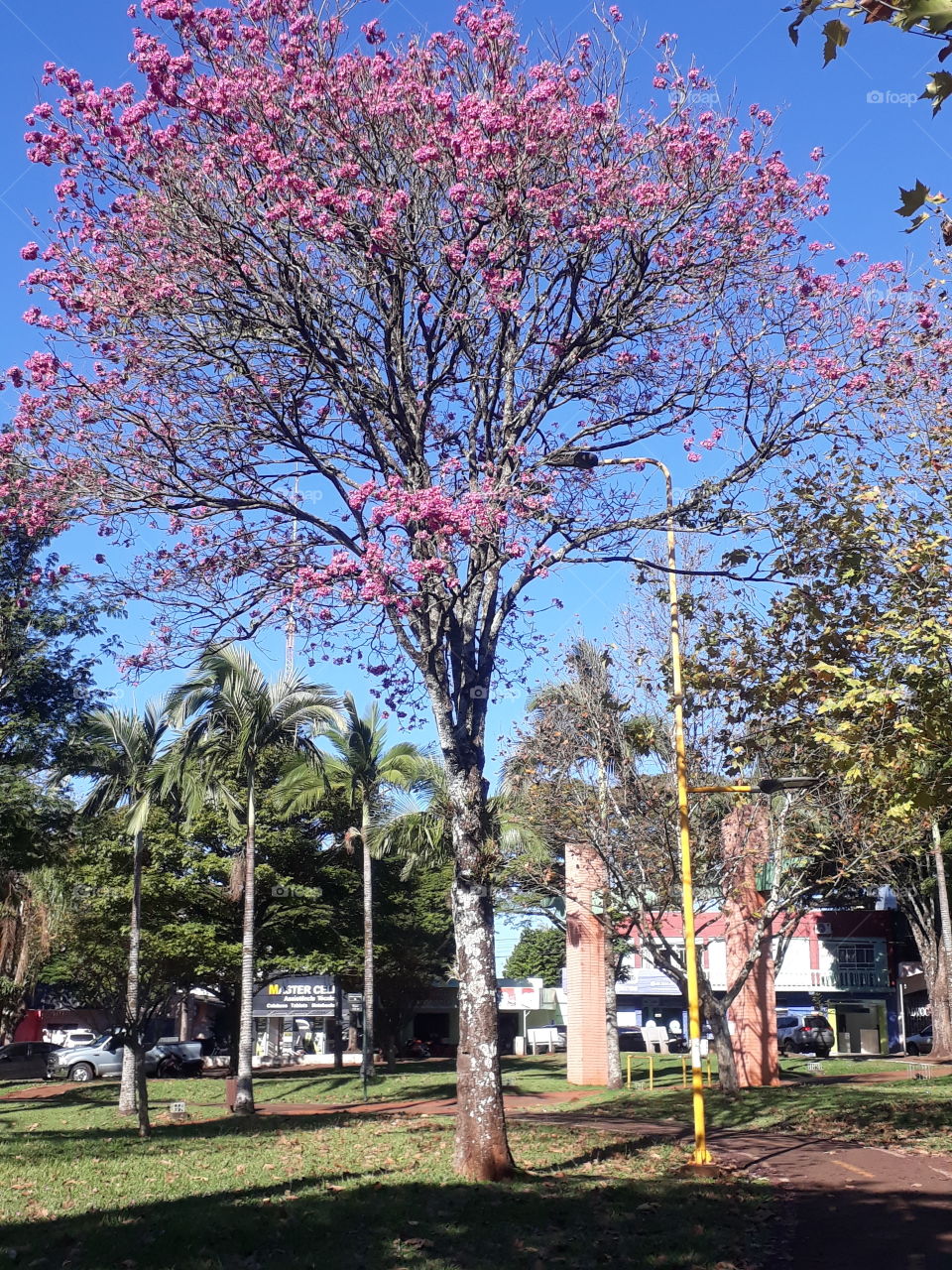 uma tarde em Cafelândia, Paraná Brasil