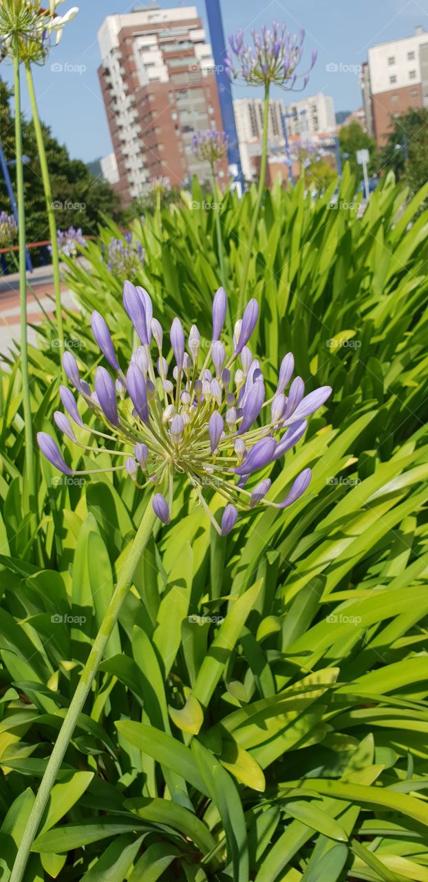 Bilbao Vizcaya España