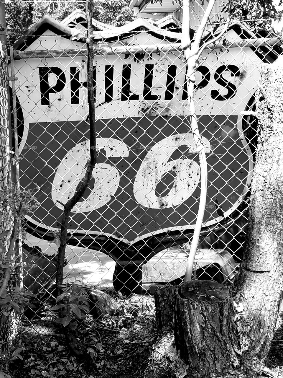 Old Phillips 66 sign