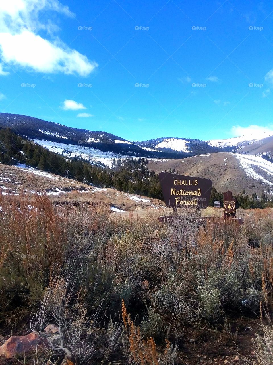 Challis, Idaho Challis National Forest