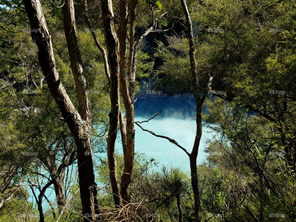 Waimangu Volcanic Rift Valley