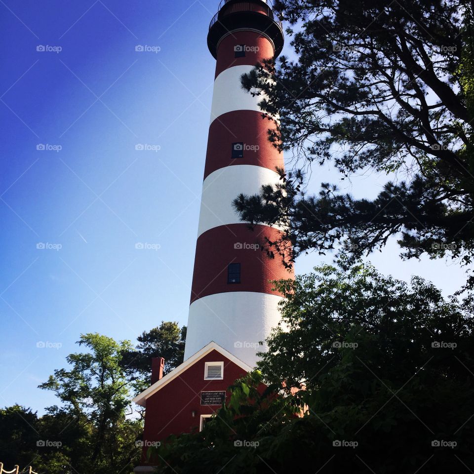 Virginia lighthouse 