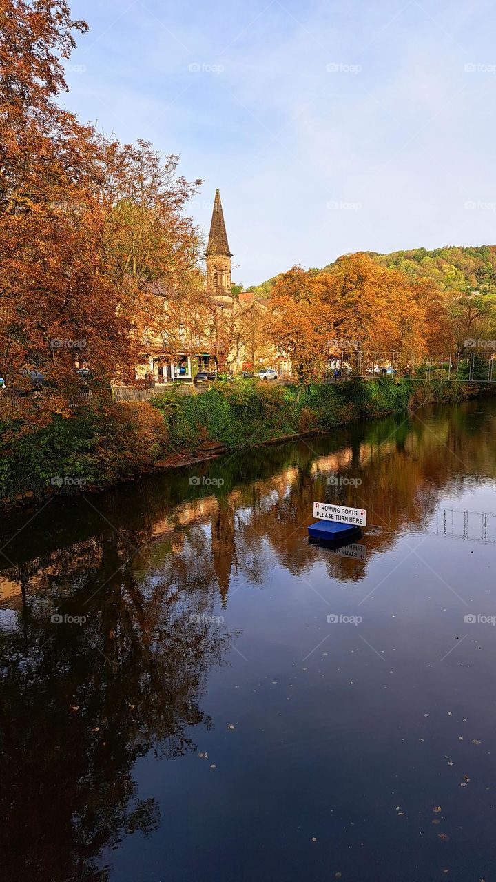 autumn trees with reflection on the river 🍂