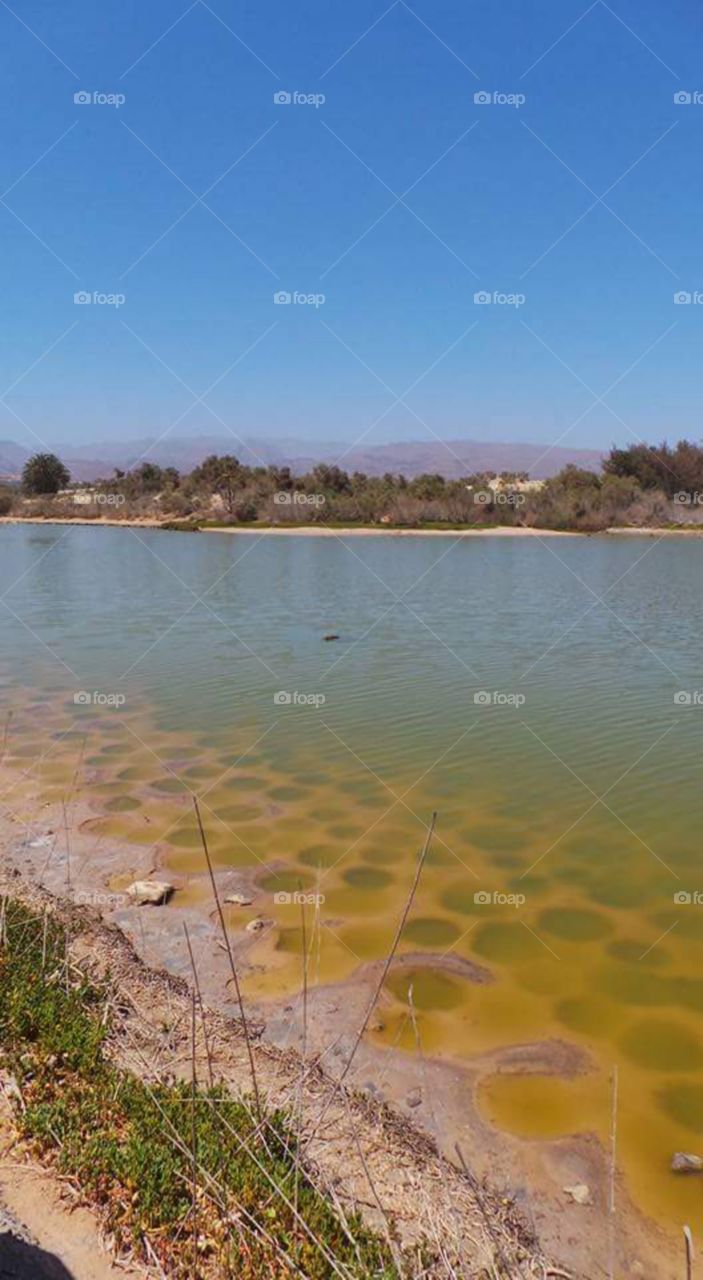 maspalomas
GRAN Canaria 
canarie islands