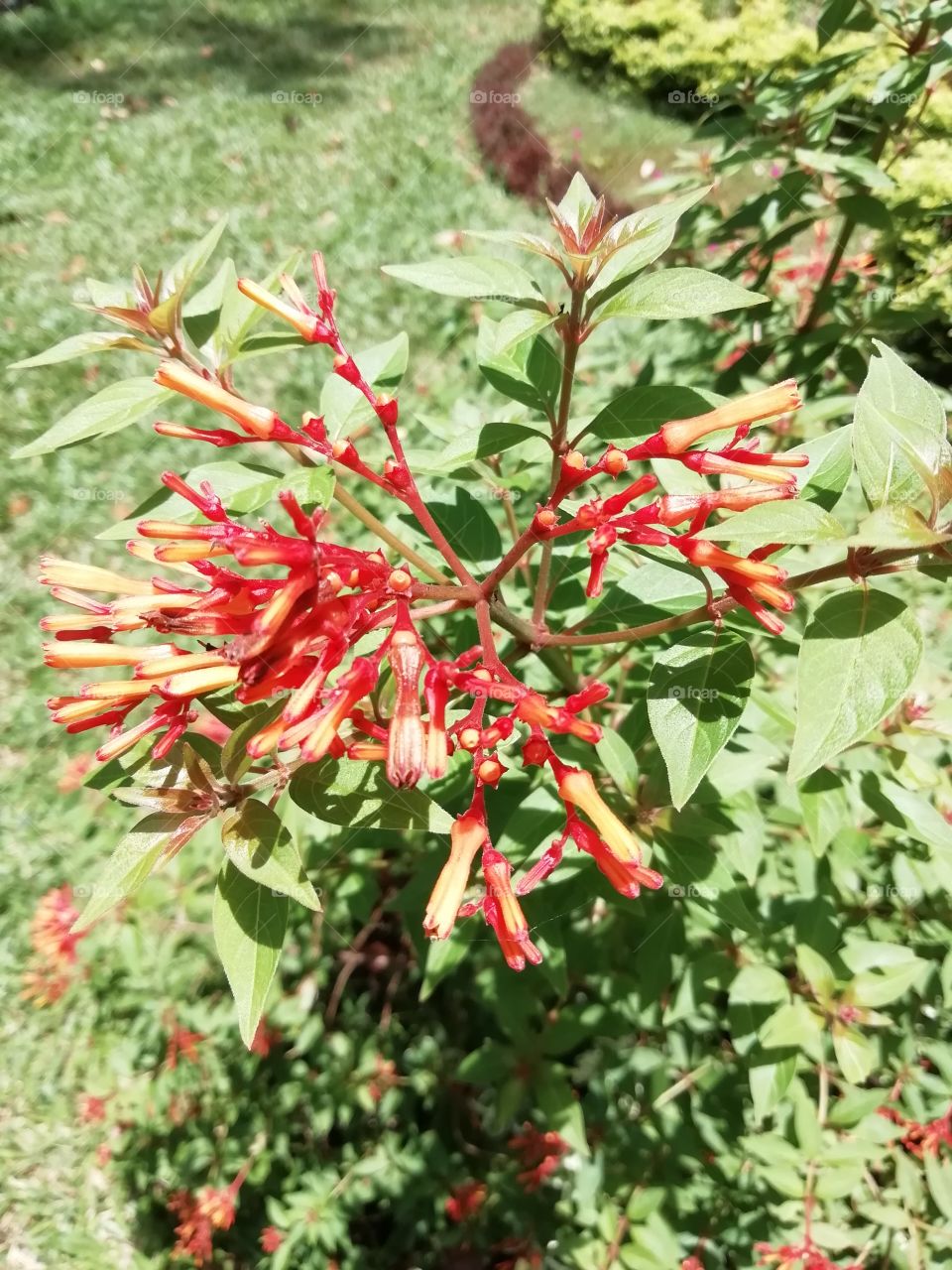 It's a great day of meeting these beautiful ladies #flowers