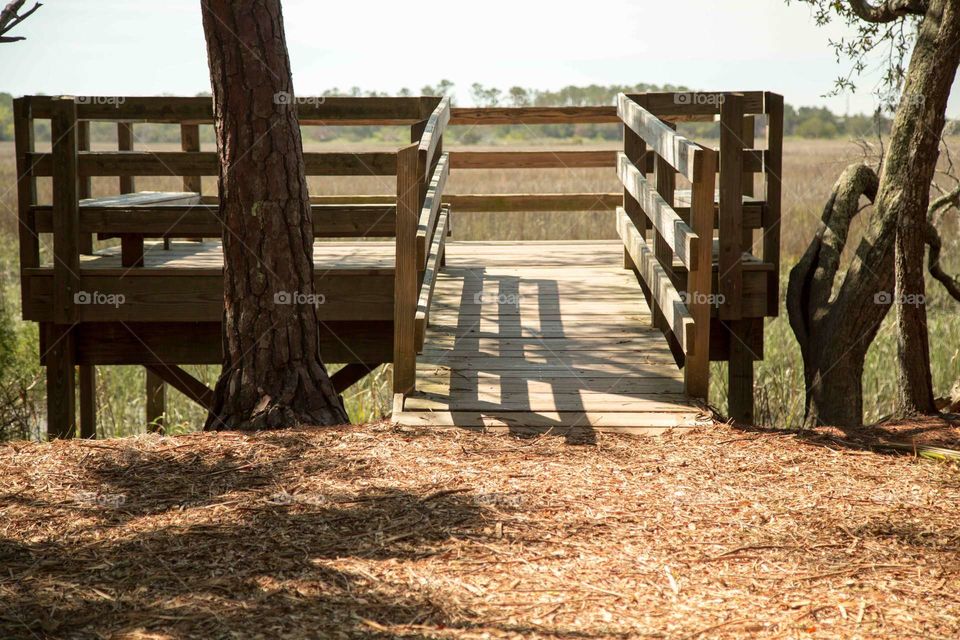 Old wooden walk way