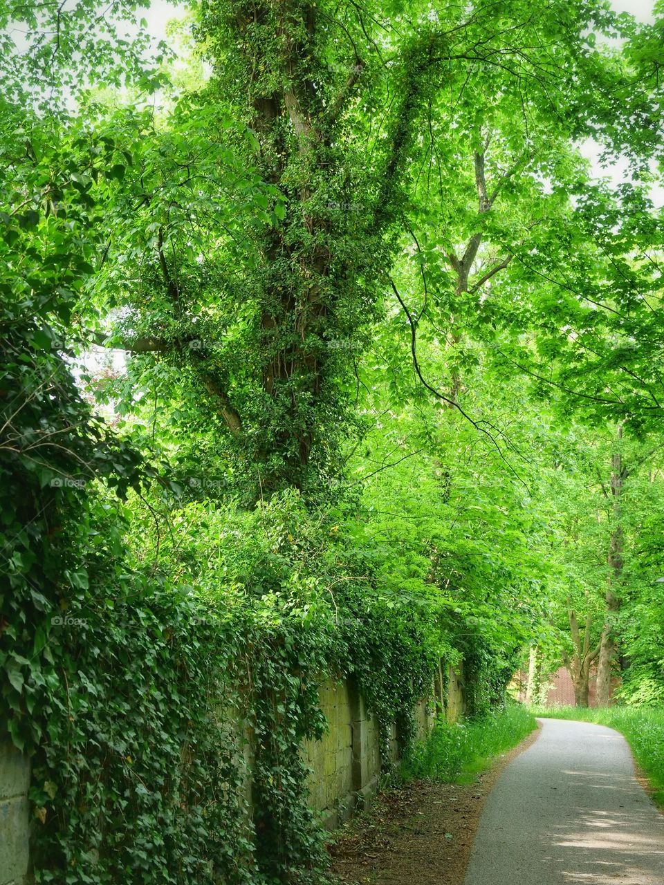 Old castle wall