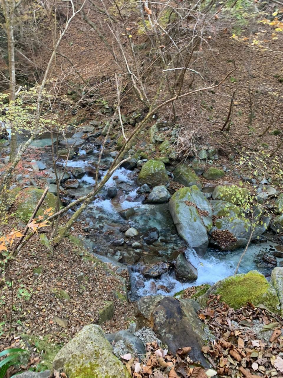 beautiful water running in a stream