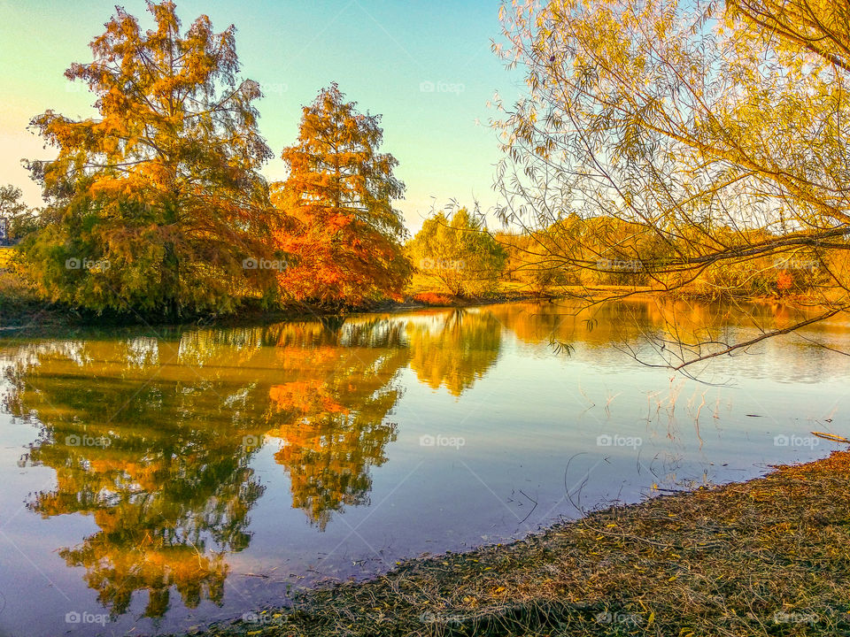 Autumn leaves on the trees reflected in a pond