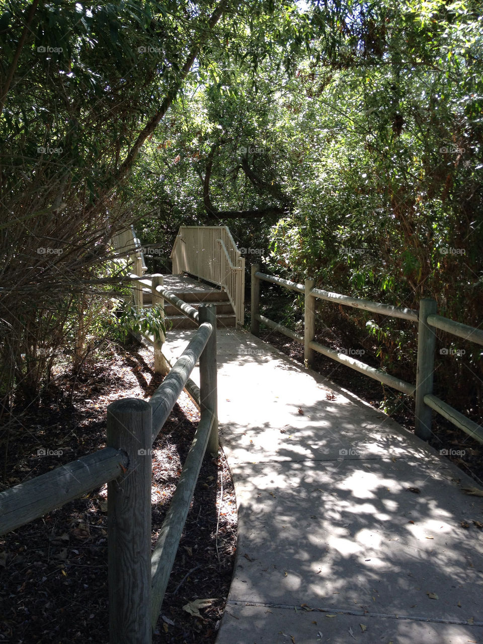 green nature trees leaves by krisiknox