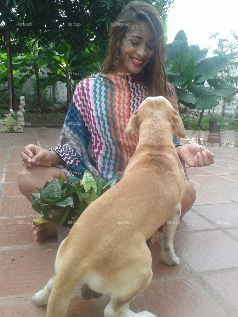 happiness, nature, little dog