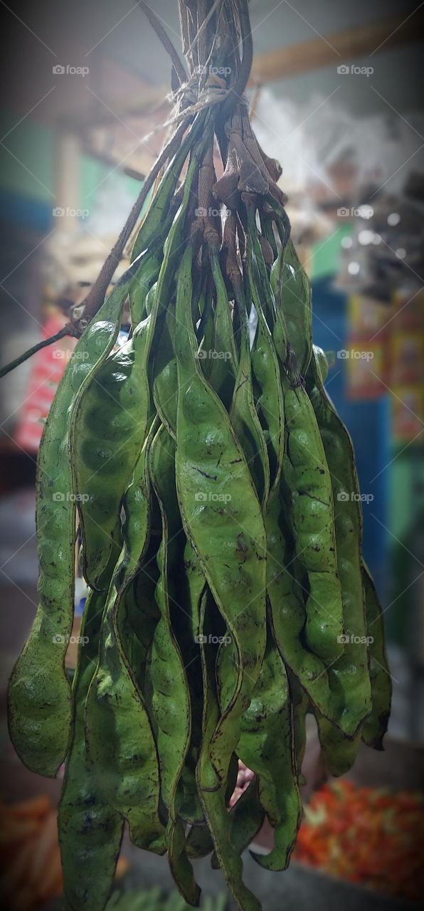 Parkia speciosa, the bitter bean, twisted cluster bean or stink bean, is a plant of the genus Parkia in the family Fabaceae.