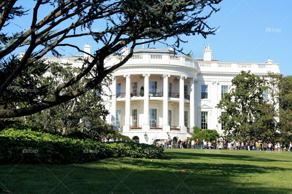 The White House Backyard