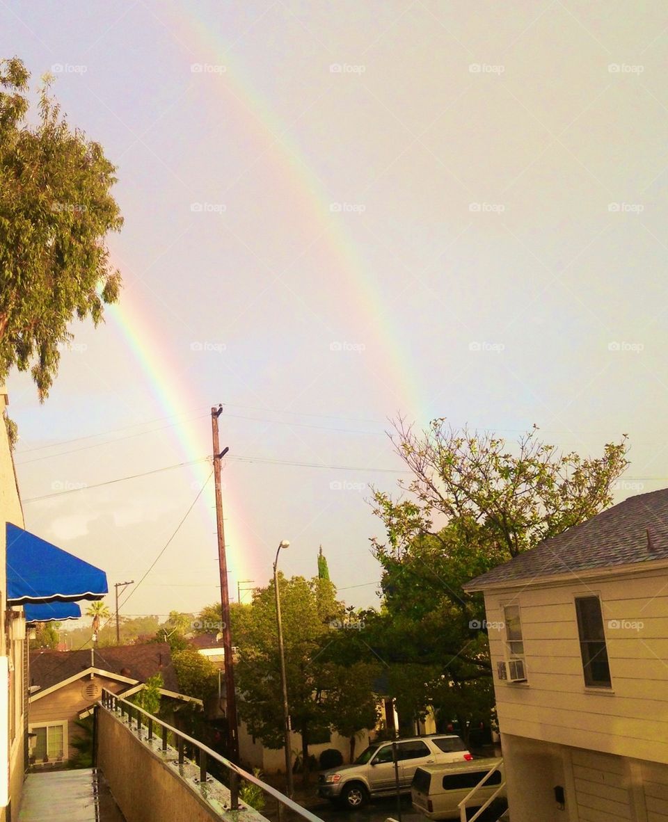 Long Beach Rainbows
