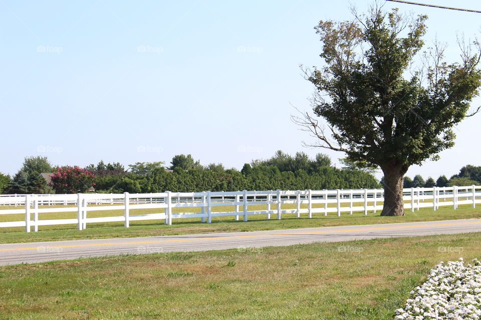 White Picket Fence