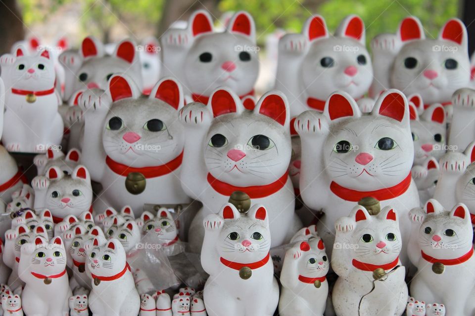Beckoning cats in Tokyo