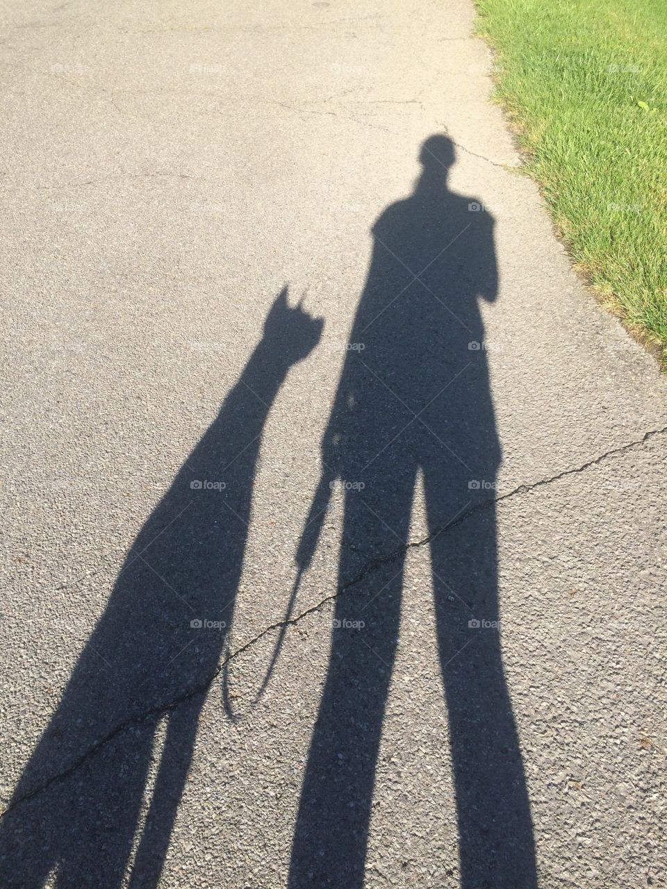 My dog and me - shadow of best friends