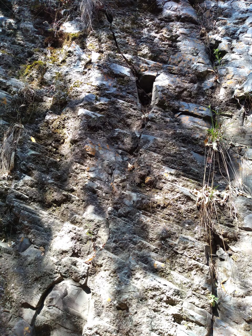 piedra corte transversal