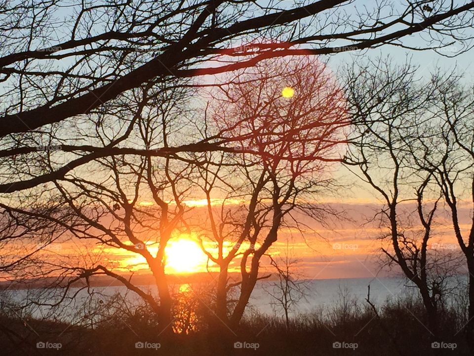 Lake MI sunset through the trees