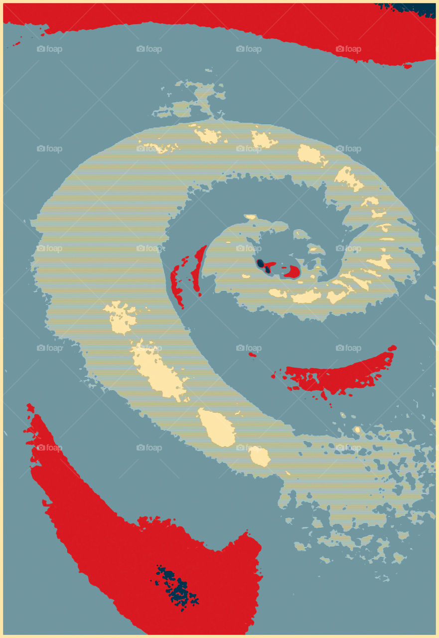 One sea shell blue white red illustration high angle view - version 1 illustration