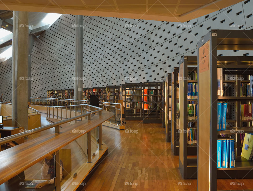 Shelves of Alexandria library