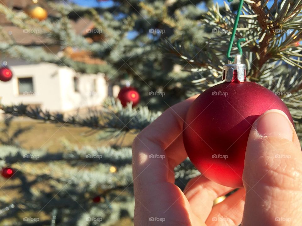 Winter, Christmas, Tree, Ball, People