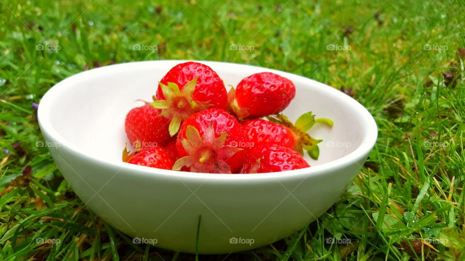 Strawberries. Jordgubbar