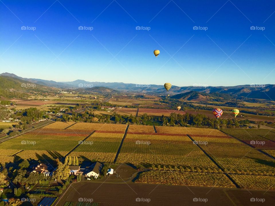 Balloon Napa Valley